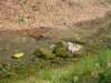 dsc06577_small.jpg