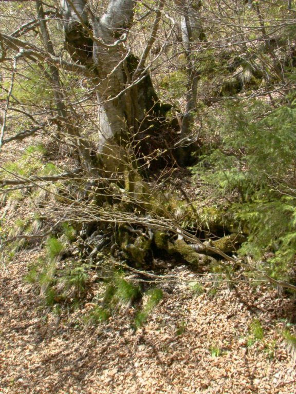 dsc06579.jpg