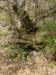 dsc06579_small.jpg