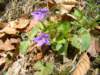 dsc06580_small.jpg