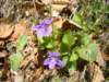 dsc06581_small.jpg