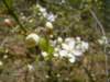 dsc06582_small.jpg