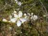 dsc06583_small.jpg