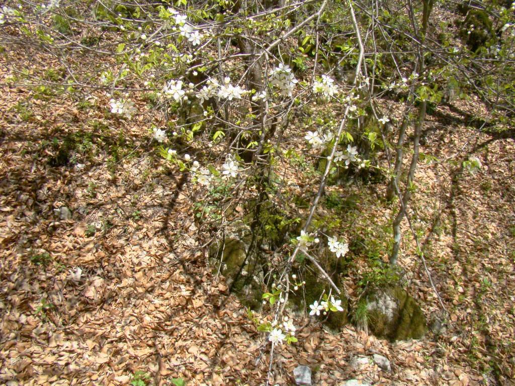 dsc06584.jpg