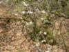 dsc06584_small.jpg