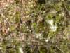 dsc06585_small.jpg