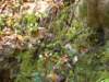 dsc06587_small.jpg