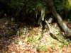 dsc06588_small.jpg