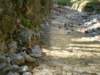 dsc06590_small.jpg