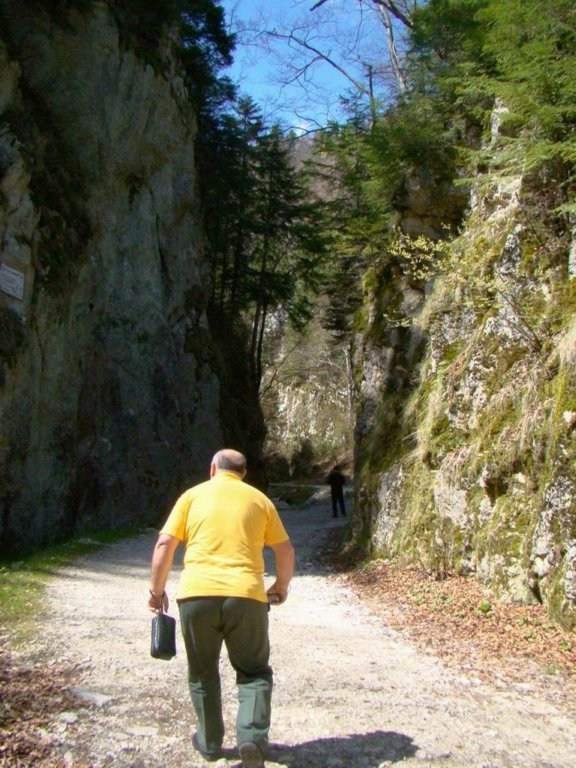 dsc06593.jpg