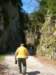 dsc06593_small.jpg