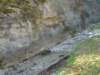dsc06594_small.jpg