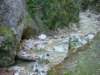 dsc06596_small.jpg