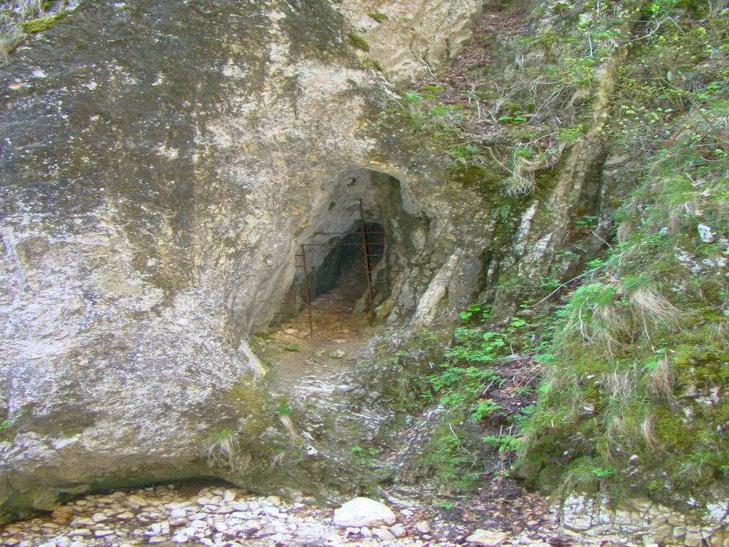dsc06597.jpg