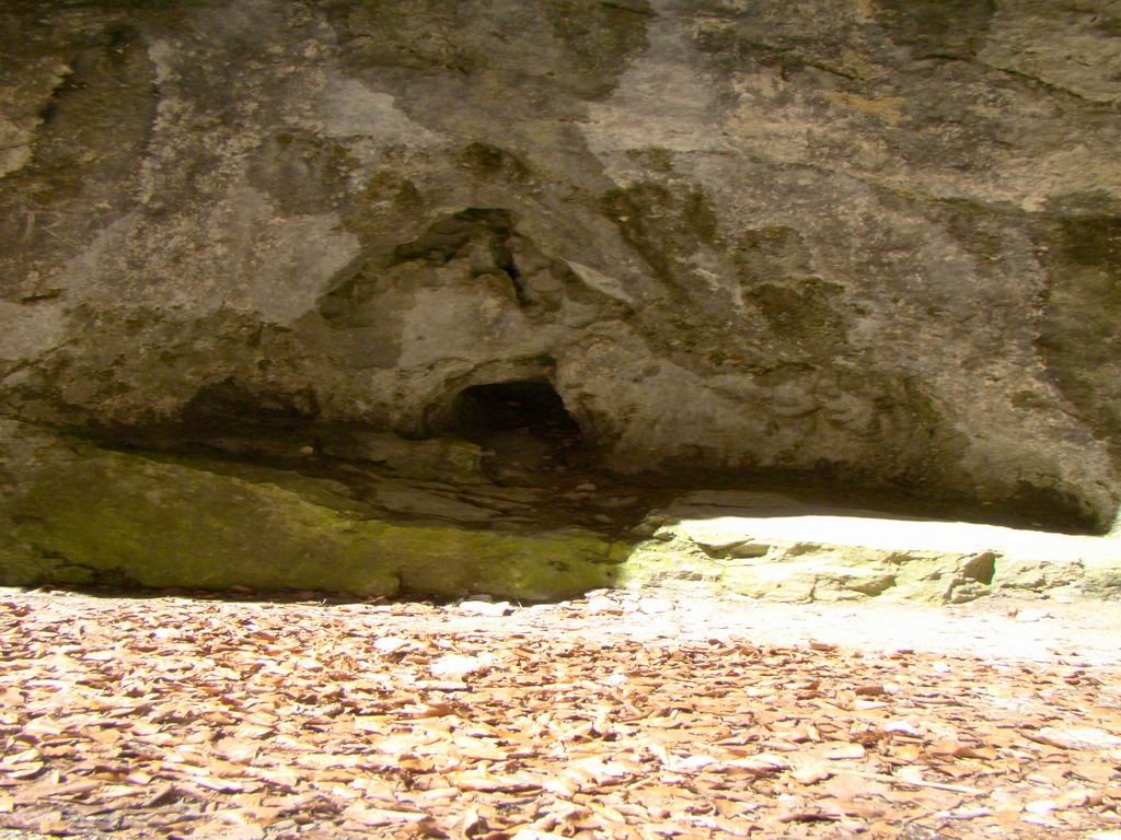dsc06601.jpg