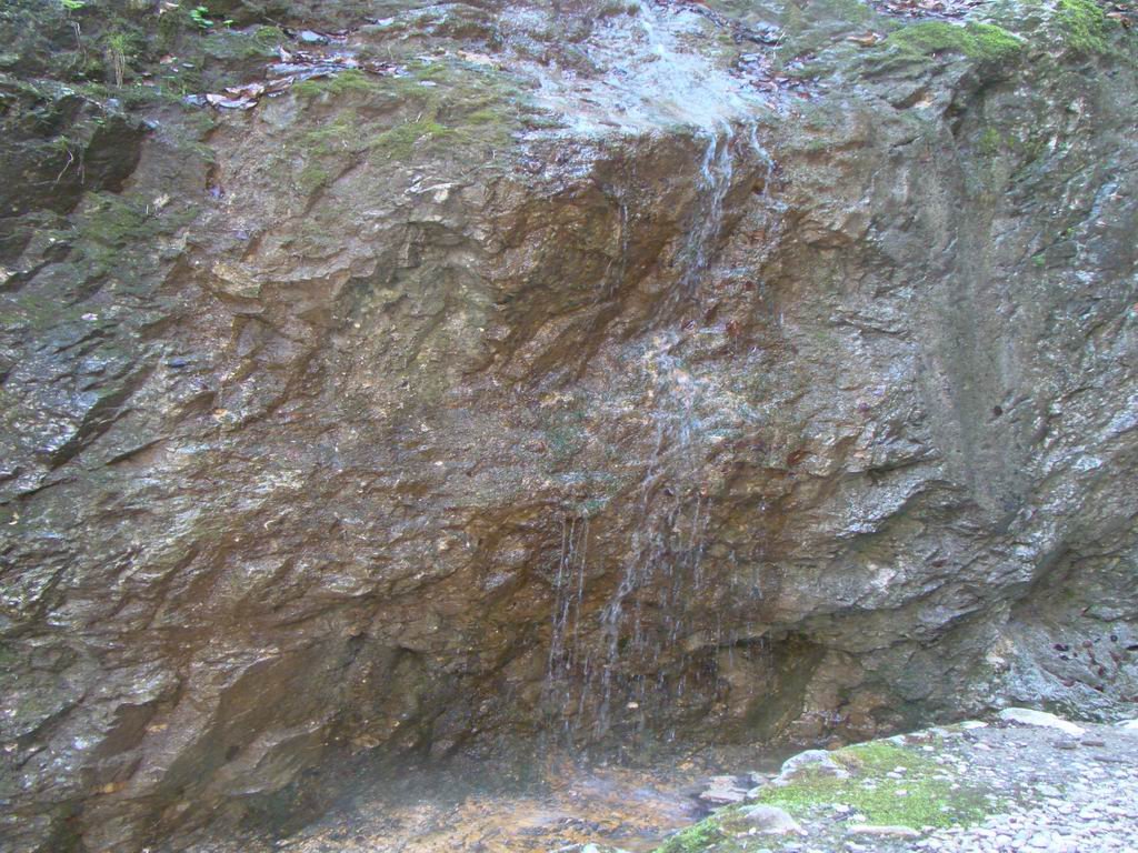 dsc06604.jpg