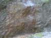 dsc06604_small.jpg