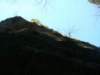 dsc06605_small.jpg