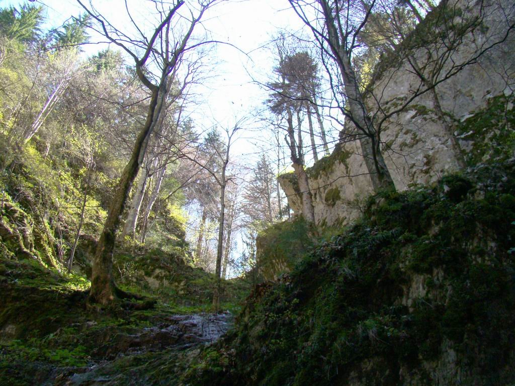 dsc06607.jpg