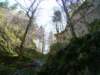 dsc06607_small.jpg