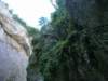 dsc06608_small.jpg