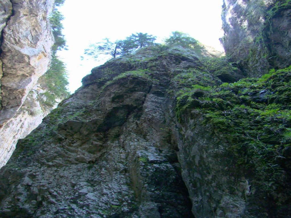 dsc06609.jpg