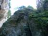 dsc06609_small.jpg