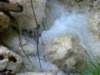 dsc06611_small.jpg