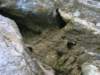 dsc06614_small.jpg