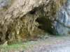 dsc06615_small.jpg
