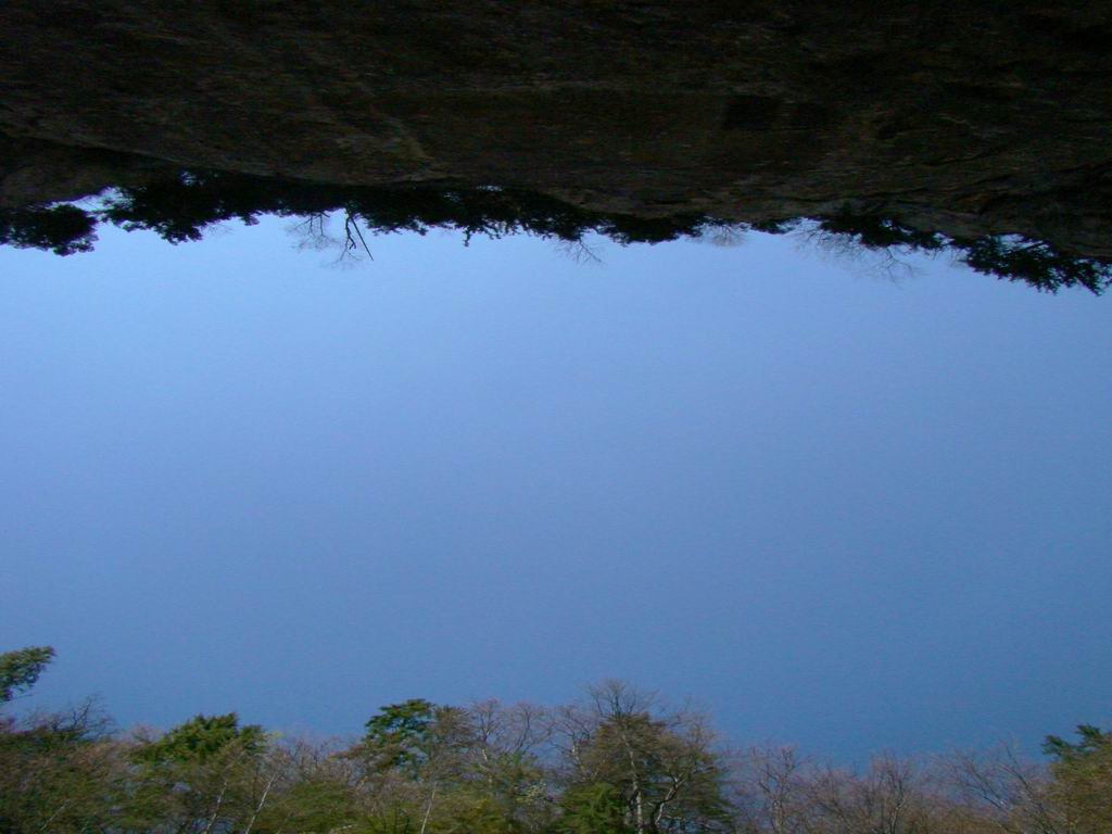dsc06618.jpg