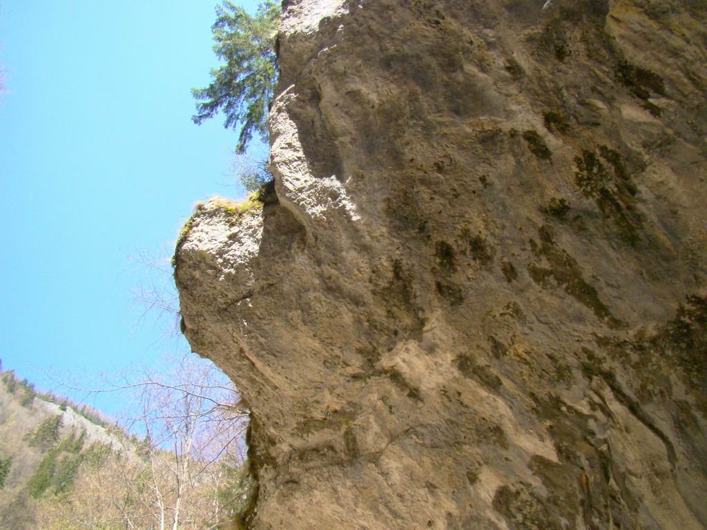 dsc06620.jpg