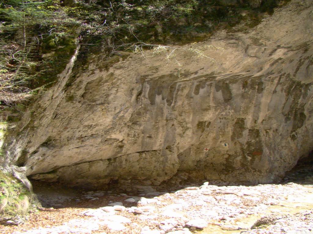 dsc06621.jpg