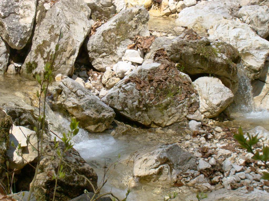 dsc06623.jpg