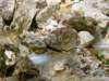 dsc06623_small.jpg