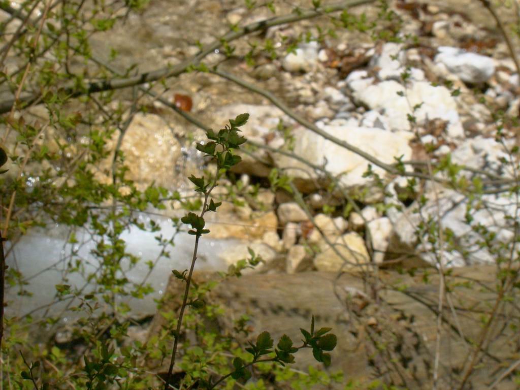 dsc06624.jpg
