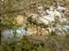 dsc06624_small.jpg
