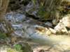 dsc06625_small.jpg