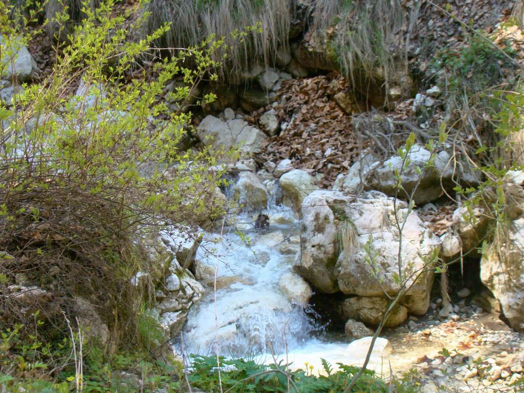 dsc06626.jpg