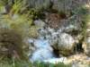 dsc06626_small.jpg