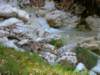 dsc06627_small.jpg