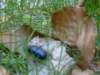 dsc06628_small.jpg