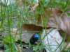 dsc06629_small.jpg