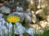 dsc06630_small.jpg