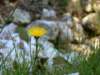 dsc06631_small.jpg