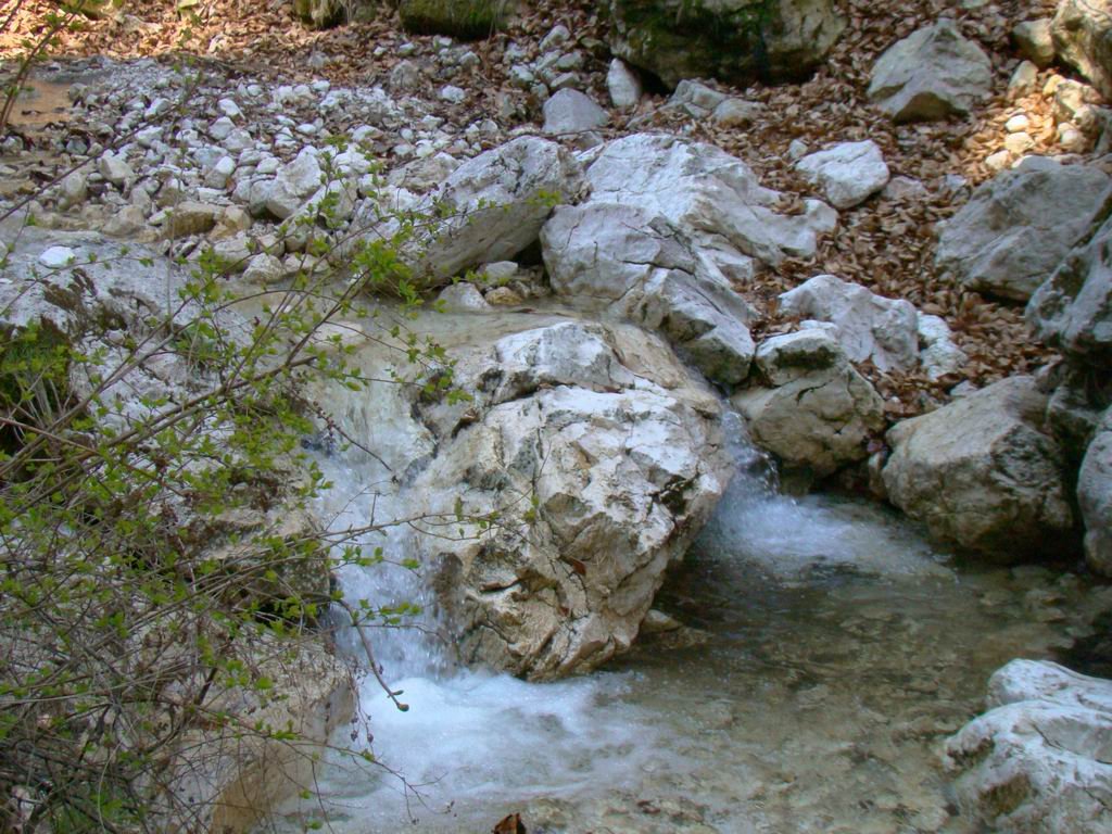 dsc06634.jpg