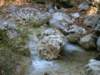dsc06634_small.jpg