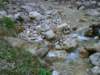 dsc06635_small.jpg