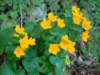 dsc06636_small.jpg