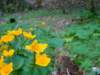 dsc06638_small.jpg